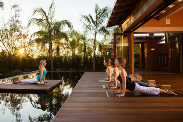 Wellness Training Tetreat