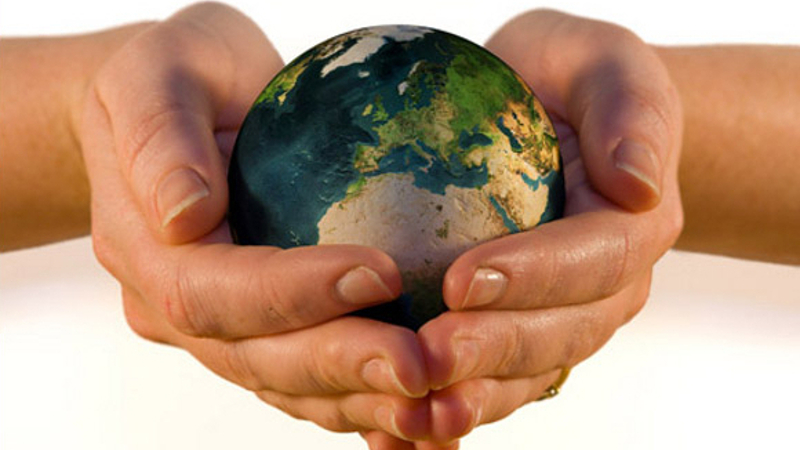 Social Activism