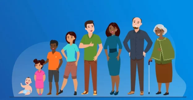 Life Cycles & Human Development