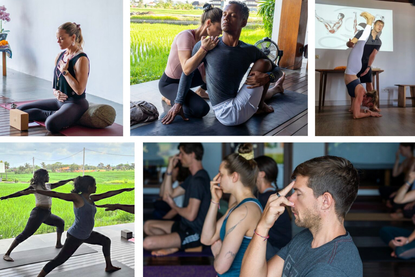 Wellness Training